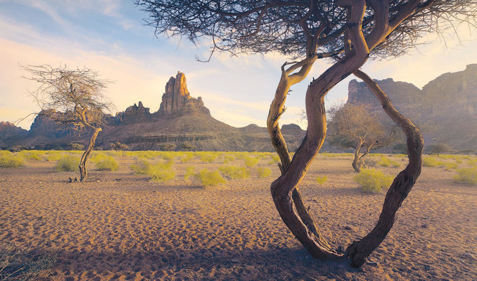 Al Ula - Deiseh Valley - Tabuk Overnight