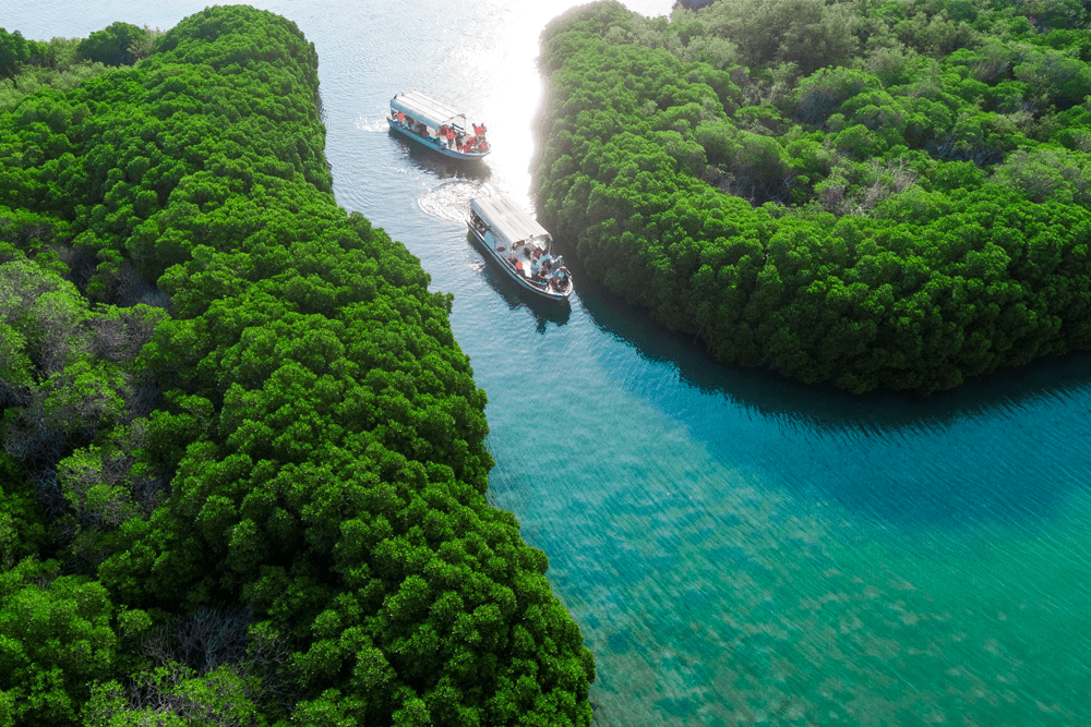 Private Tour Packages