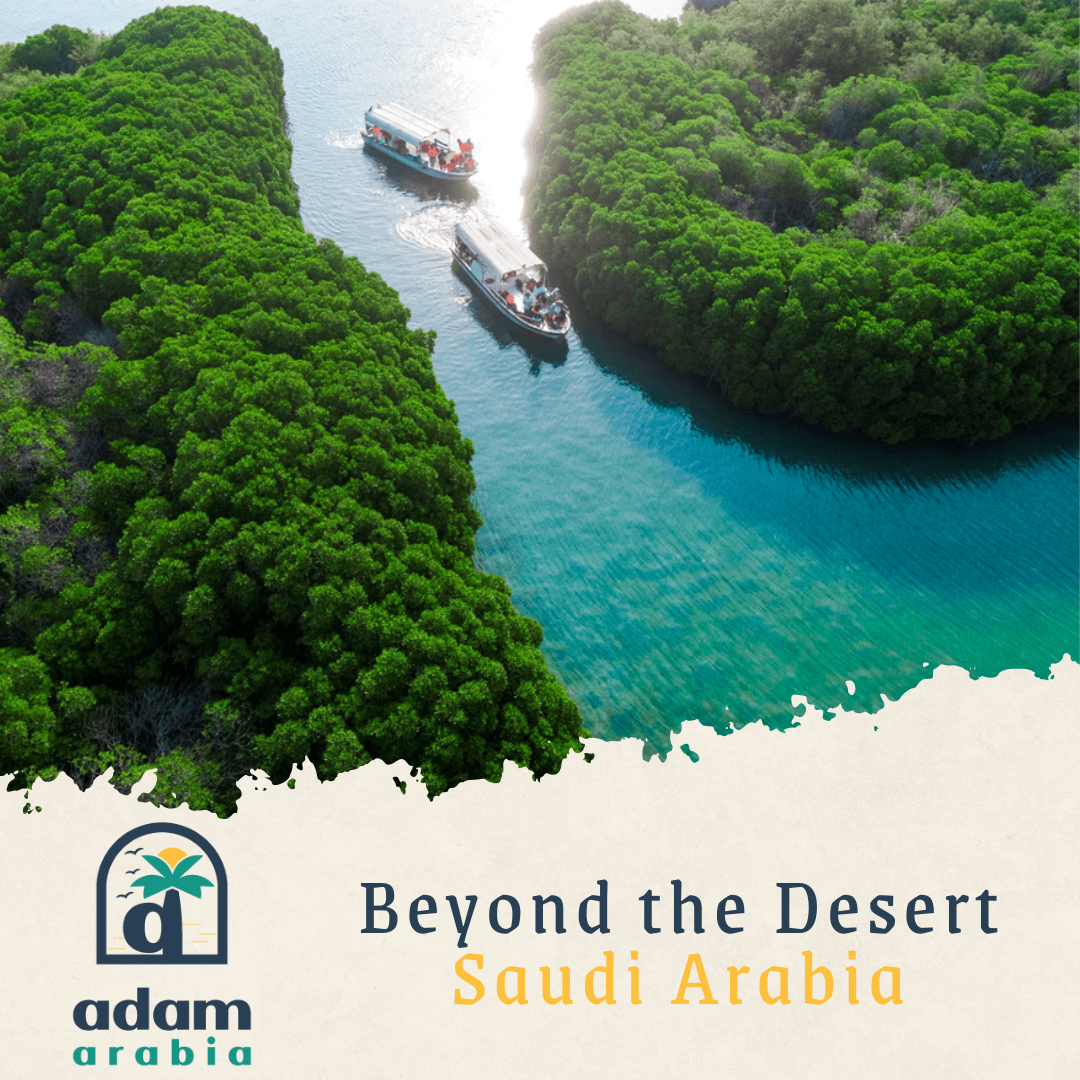 Saudi Arabia — Beyond the Desert